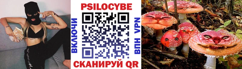 Галлюциногенные грибы прущие грибы Купить где Борзя